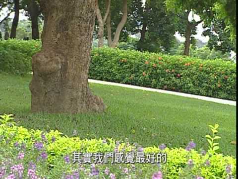 台灣山水情-第007集 苗栗通霄福興社區