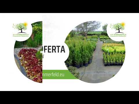 Zobacz filmy, AT Sommerfeld Gospodarstwo szkółkarskie, Pogrzymie