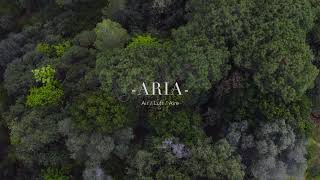 Gli elementi del Parco di Villa Durazzo Pallavicini: Aria