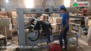 MÁY KHOAN ỐC CAM LIÊN KẾT VÁN CÔNG NGHIỆP 42 đầu Holztek