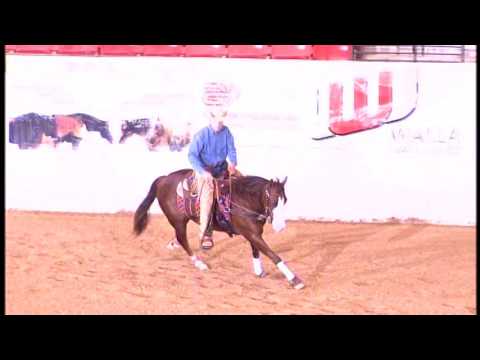 Partychicatrashya - L4 and L3 High Roller NP Futurity Champion