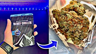 BLAST CHILLER🥶by GLACIER CANNABIS🏔️