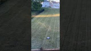 Luba 3000 time lapse cutting huge backyard #shorts