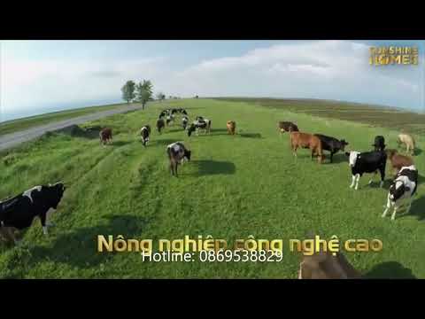 Thông tin dự án Sunshine Heritage risort Phúc Thọ Hà nội