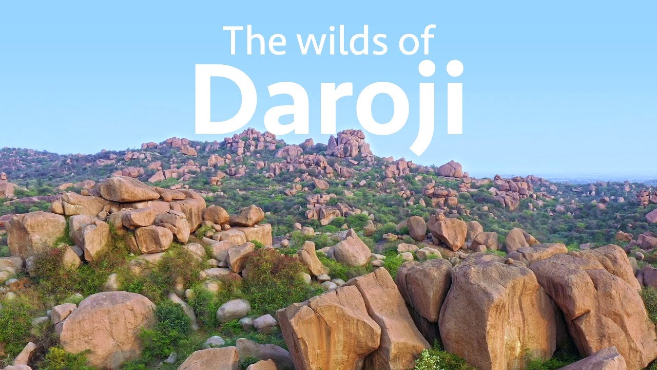 The Wilds of Daroji: Rocky Rolling Hills with Rich Biodiversity