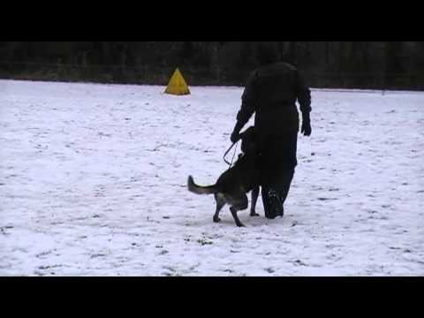 FATAL XERRO AYKMAR - defence - 18 months, helper: Marek Černý