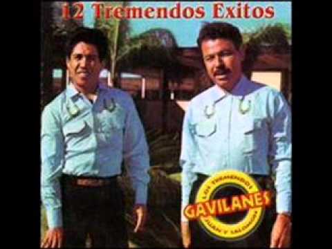 Dos Hojas Sin Rumbo - Los Tremendos Gavilanes