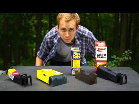 NEW! - What's The Best Live Mouse Trap For Your Home or Apartment?