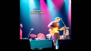 Wilco - She's A Jar (live)