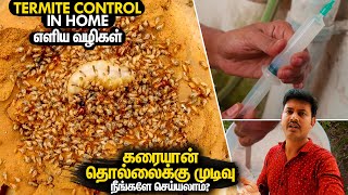 கரையான் தொல்லைக்கு முடிவு | Termite Control Treatment in Home | Mano