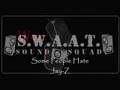 Jay-Z - Some People Hate