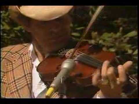 Tall Pines cover