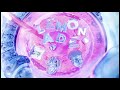 Internet Money Lemonade Ft Don Toliver Roddy Ricch Gunna Nav