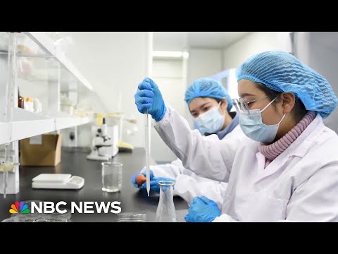 Study finds a new type of bacteria present in colorectal cancer