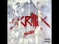 Skrillex & The Doors - Breakn' A Sweat (Zedd ...