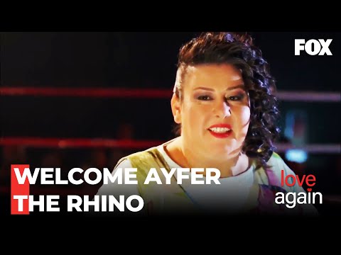 New Member Of The Club, Ayfer The Rhino - Love Again Episode 94