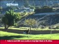 Cute Rare White Waterbuck Calf At San Diego Safari Park