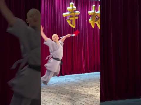 shaolin drunken fist