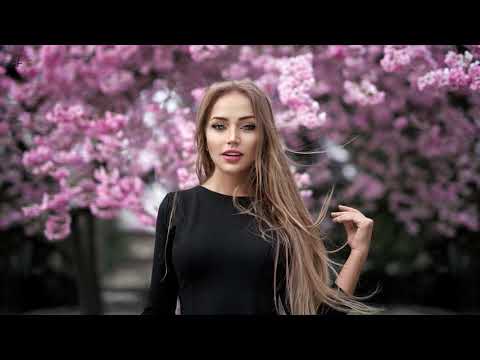 Shapov & Cal   - Chasing Shadows ( Extended Mix )