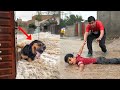Zoo Mein Flood Agea Talli Doob Gya