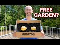 What Happens When You Plant Potatoes In Cardboard Boxes