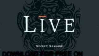 live - Waterboy - Mental Jewelery