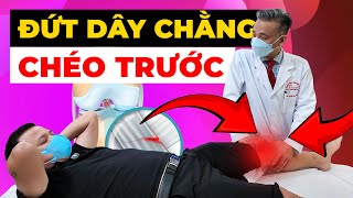 Anterior Cruciate Ligament Rupture: The Fear of Not Dare to Exercise - How to Recover | Starsmec ...