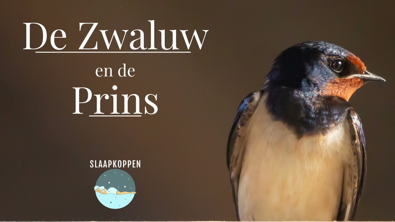 De Zwaluw en de Prins | Slaapmeditatie en -verhaal