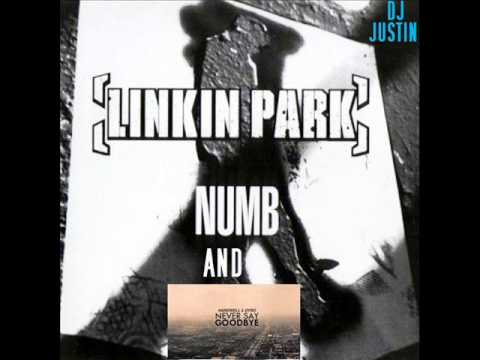 Hardwell vs. linkin park never numb