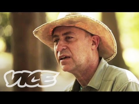 《第一個在外太空中存下來的生物》評論回覆 (Comments Response: First Animal to Survive in Space)