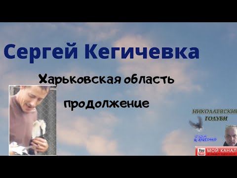 Сергей Кегичевка Харьковская область продолжение