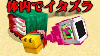 モブの体内に入って友達にイタズラしたみたw【まいくら・マインクラフト】