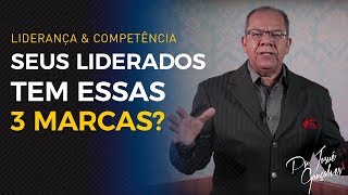 Seus liderados tem essas 3 marcas? - Liderança & Competência