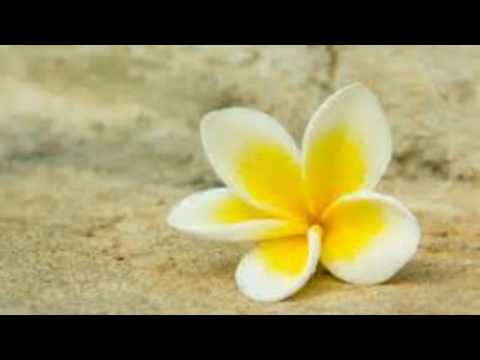 Matahi -Medley Hula [Tahiti]