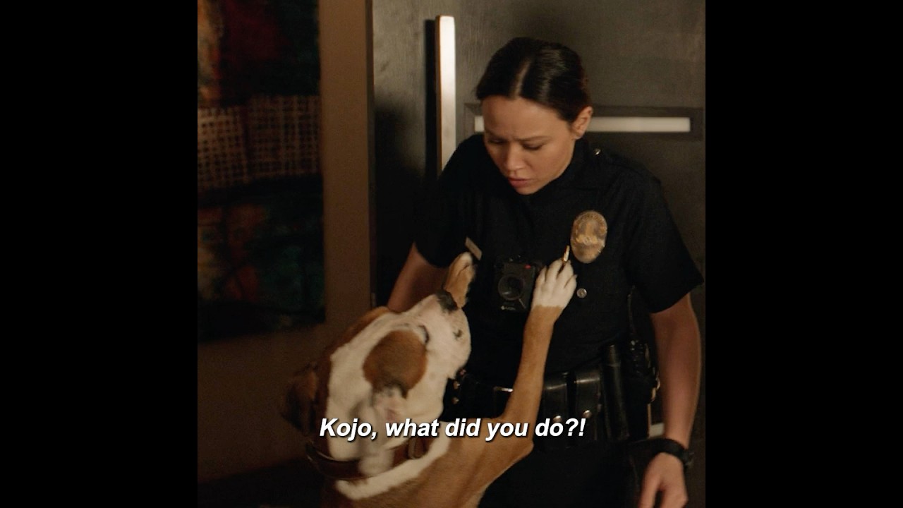 Lucy's dog is a real little wrecker! #movie #therookie