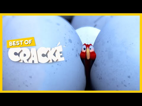 CRACKÉ - SHRINKING BIRD | Cartoon Animation | Compilation