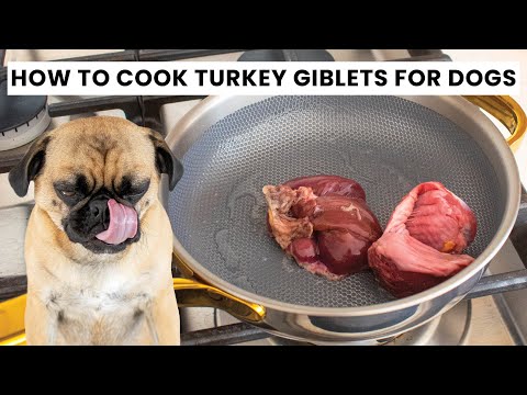 How to Cook Turkey Giblets for Dogs | Healthy, Easy Homemade Recipe!