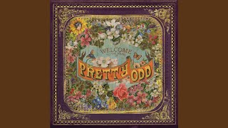 She&#39;s a Handsome Woman