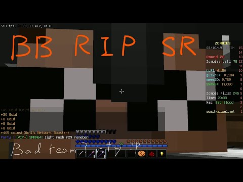 【New World Record】Bad Blood RIP Speed Run【23:09】
