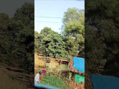 Shaam Bhi Khoob Hai | 4K Video Song #short #shorts #hindisong