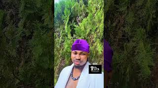 AWAKEN TO YOUR CREATIVITY (PT 2)