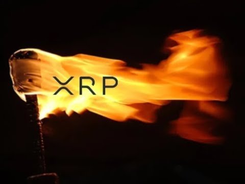 XRP Torch 2.0 , Ripple In Beachhead Game And Holochain