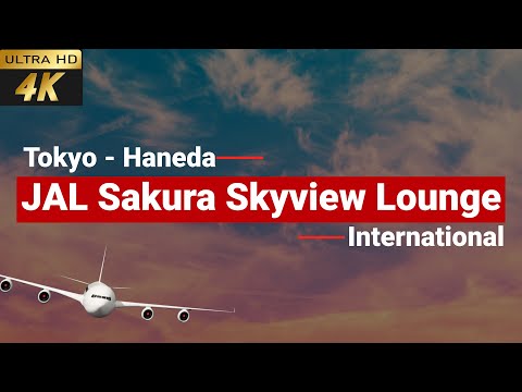 [4k] Japan Airlines Sakura Skyview Lounge Haneda Aeroporto de Tóquio 2023 | Business Lounge da companhia aérea japonesa