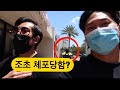 조초 이사감..(새집소개/등운동/조초 아침식단)