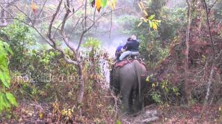 Elephant safari at Manas National Park, Assam 