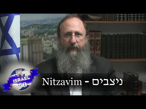 Weekly Torah Portion: Nitzavim and Rosh HaShana Blessing