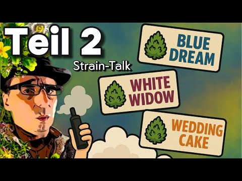 Which strains are the crowd puffing? Kraut Talk Part 2