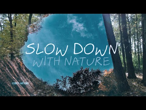 Smooth & Gentle Shaman Drumming 🌳 GAIA Grounding🌲 Slow Down with Nature  💖 Heart Chakra Meditation
