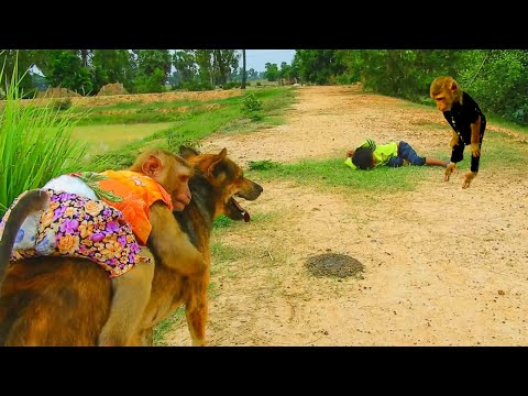 Are You Okay, Schuten Carry SokYaa & Meet Vithu Like This