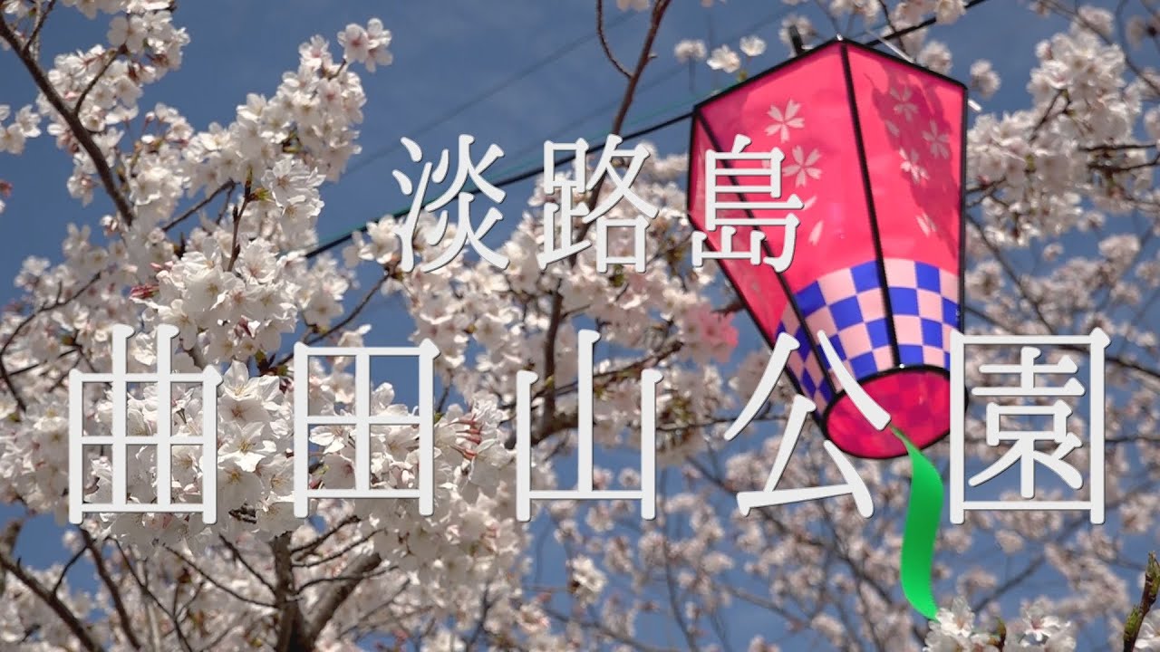 淡路島の桜の名所　曲田山公園